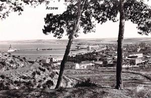 Arzew 305